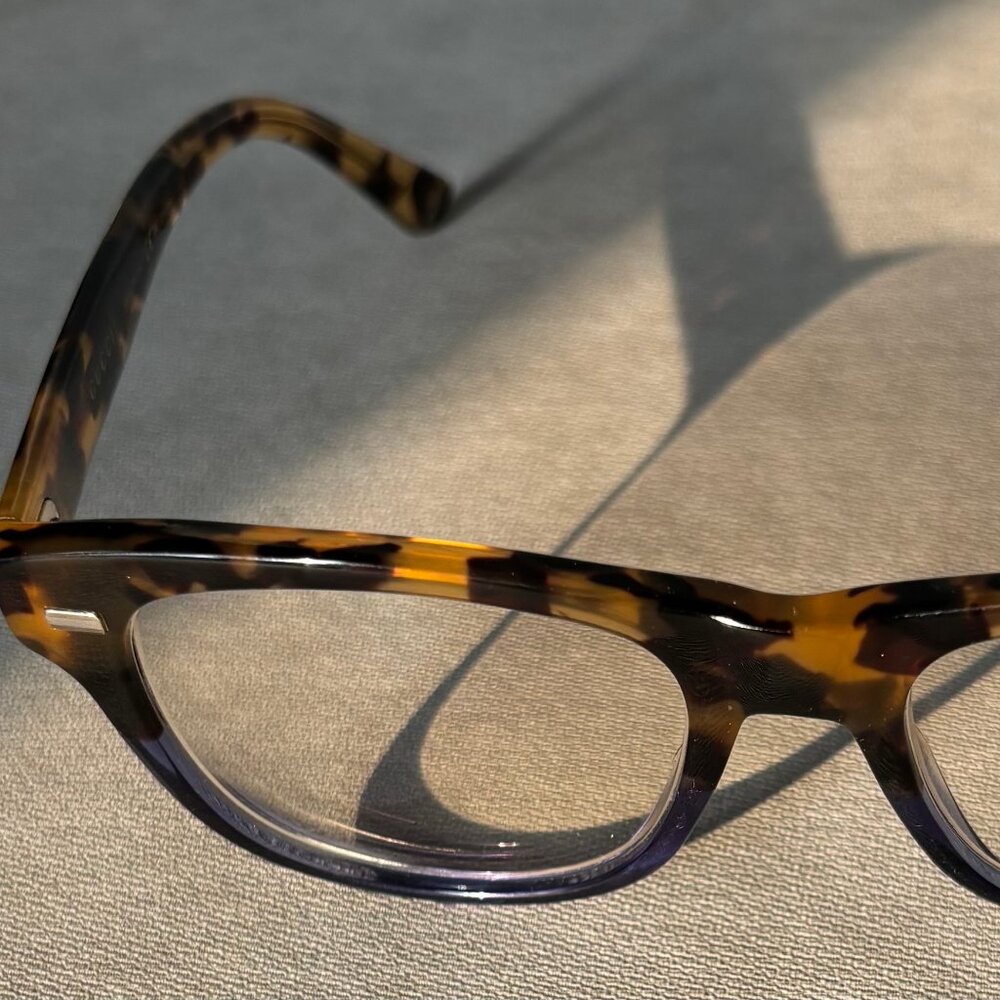 Gucci Eyewear (Light Blue and Leopard)